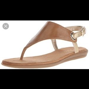 Aerosoles Women's Conchlusion Gladiator Sandal